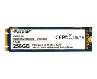 Patriot 256GB M.2 PCIe NVMe Scorch - 401814 - zdjęcie 1